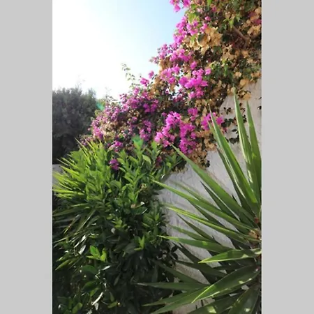 Capistrano Village, With Free Wi-fi Nerja